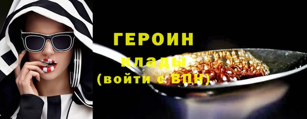 прущие грибы Ельня