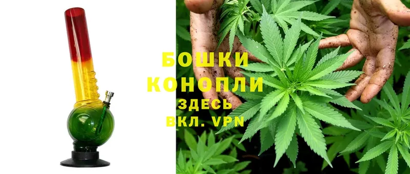 продажа наркотиков  Краснотурьинск  МАРИХУАНА Amnesia 